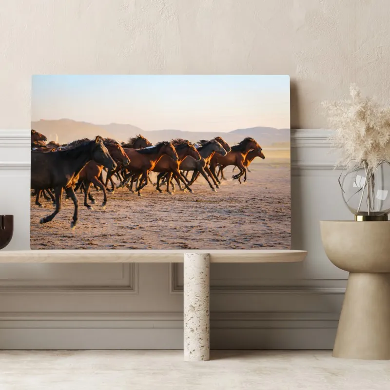 Obraz na płótnie stado koni yilki galopujących po polu w Kayseri – Wallissimo® Obraz na płótnie stado koni yilki galopujących po polu w Kayseri – Wallissimo®
