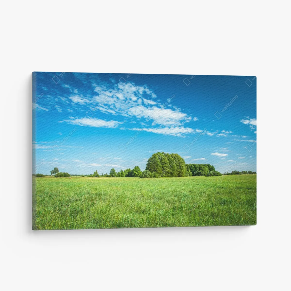 Obraz na płótnie słoneczna zielona łąka pod niebieskim niebem – Wallissimo® Obraz na płótnie słoneczna zielona łąka pod niebieskim niebem – Wallissimo®