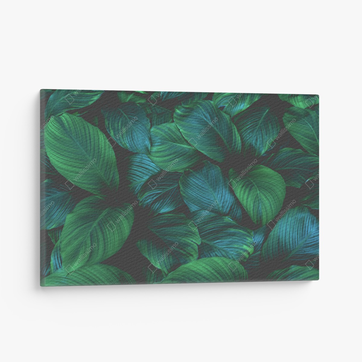Canvas print lush tropical leaves art