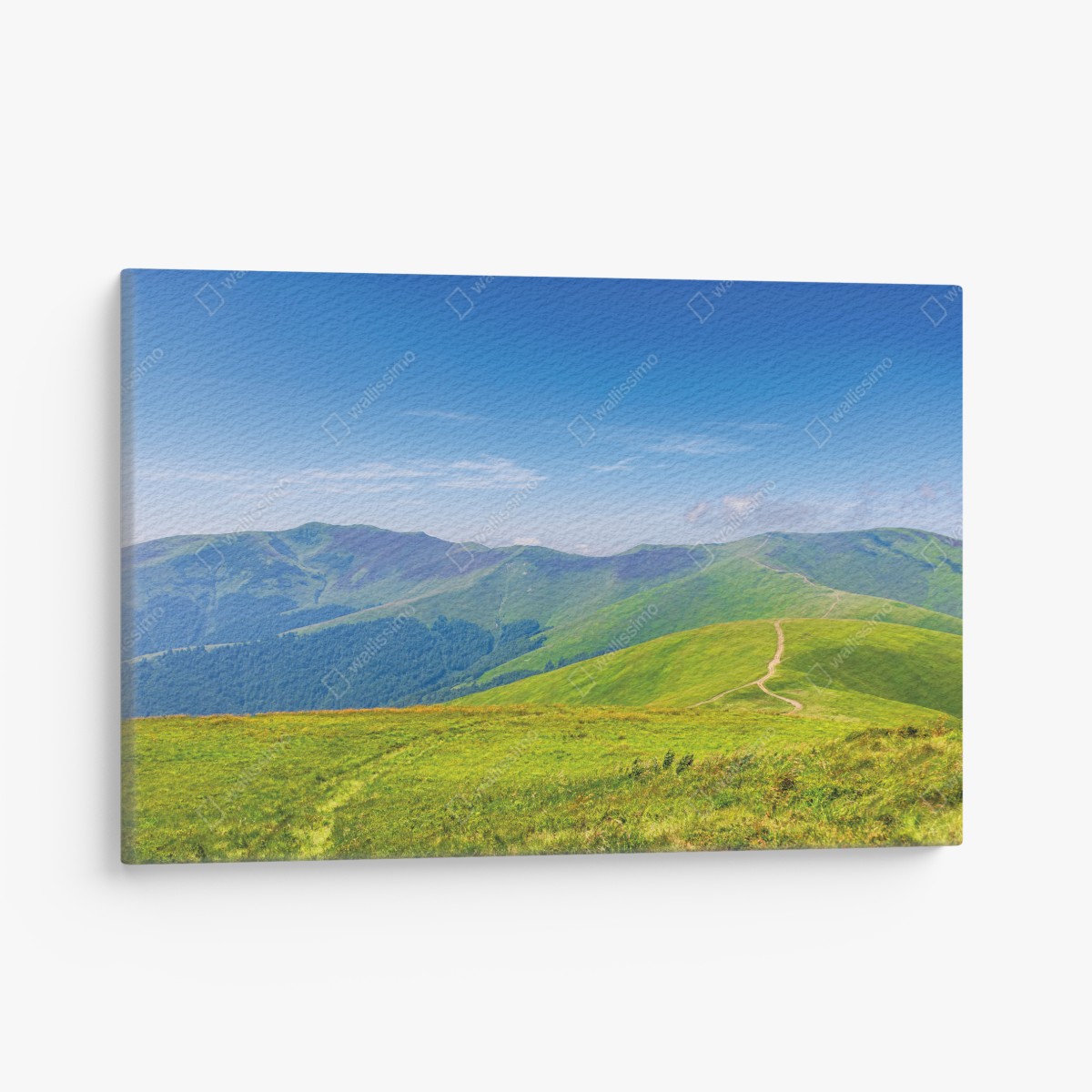 Canvas print sunny Borzhava ridge meadow, Transcarpathia, Ukraine
