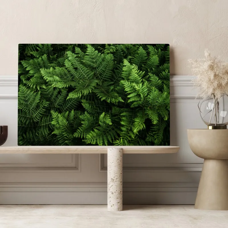 Obraz na płótnie bujna zielona paproć – Wallissimo® Obraz na płótnie bujna zielona paproć – Wallissimo®