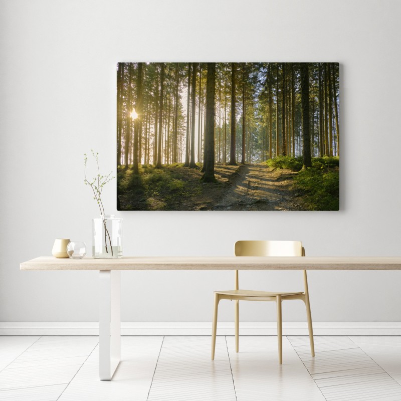 Obraz na płótnie słoneczna leśna ścieżka o świcie – Wallissimo® Obraz na płótnie słoneczna leśna ścieżka o świcie – Wallissimo®