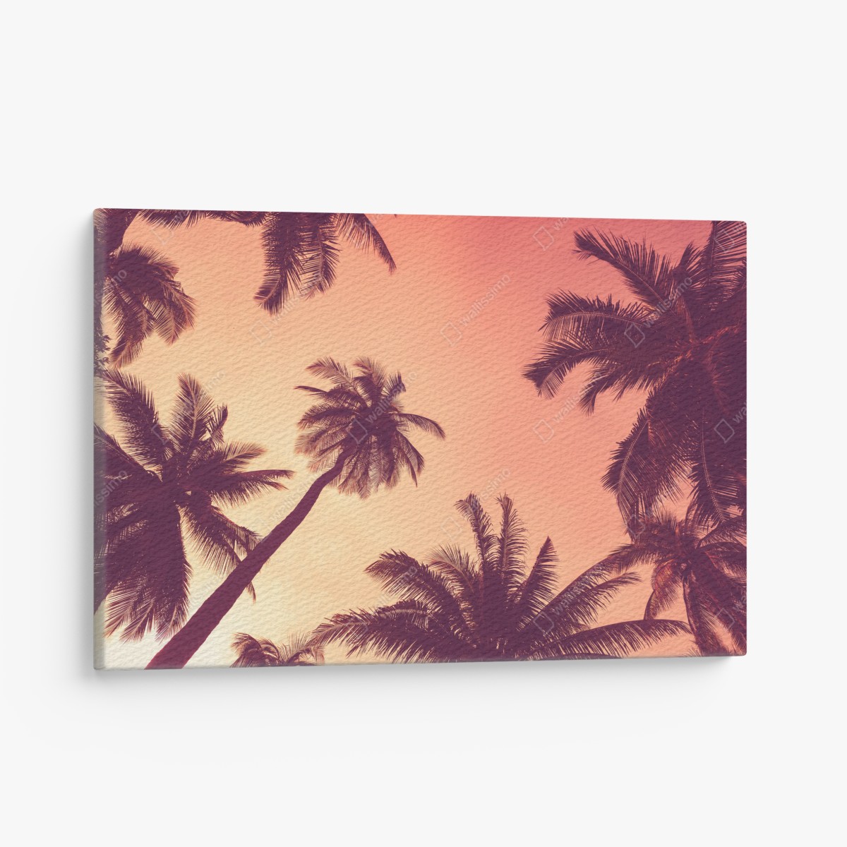 Canvas print tropical palms at sunset