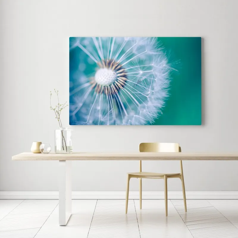 Obraz na płótnie turkusowy dmuchawiec z bliska – Wallissimo® Obraz na płótnie turkusowy dmuchawiec z bliska – Wallissimo®