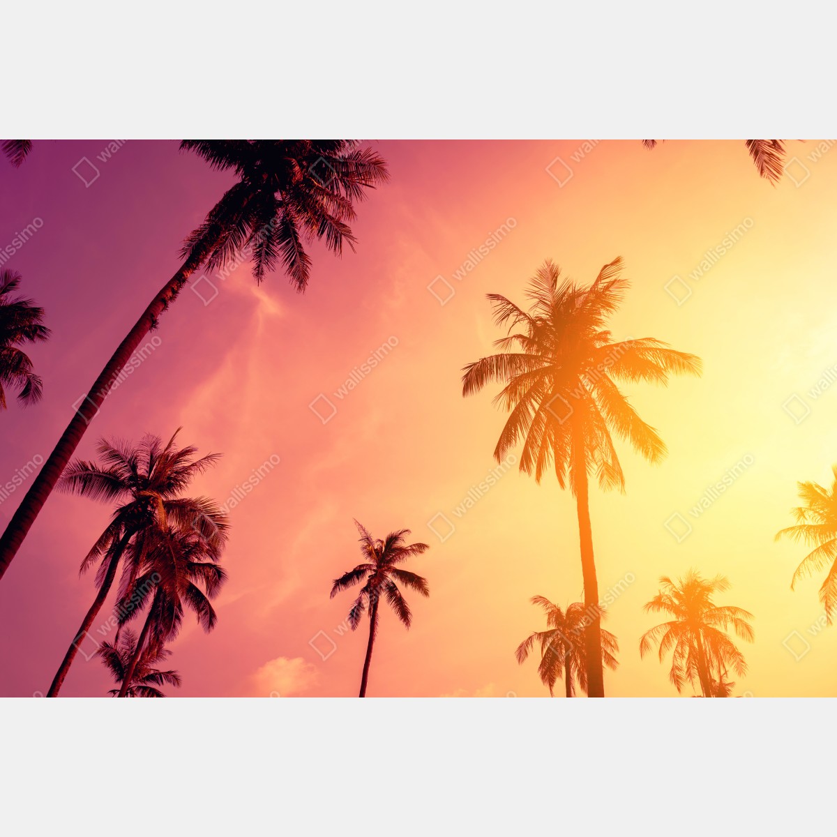 Obraz na płótnie tropikalny zachód słońca z palmami – Wallissimo® Obraz na płótnie tropikalny zachód słońca z palmami – Wallissimo®