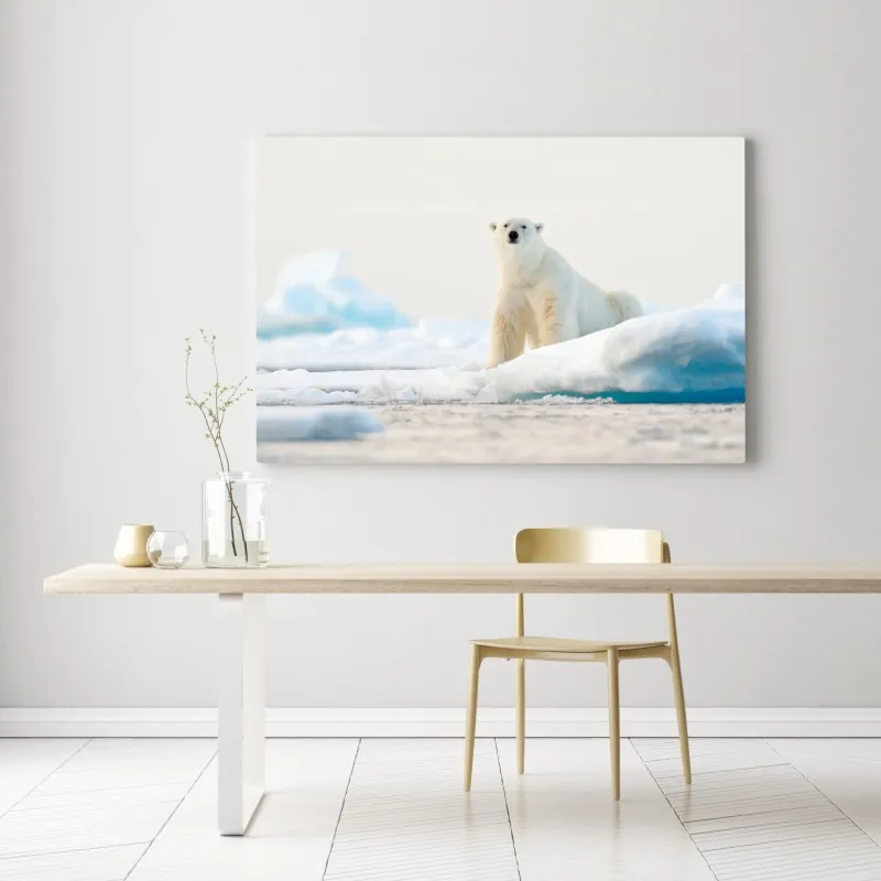 Obraz na płótnie niedźwiedź polarny na lodzie, Svalbard – Wallissimo® Obraz na płótnie niedźwiedź polarny na lodzie, Svalbard – Wallissimo®