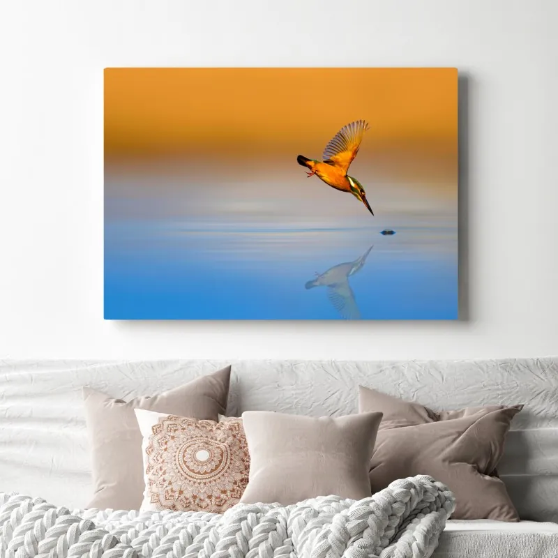 Obraz na płótnie zimorodek nurkujący nad wodą – Wallissimo® Obraz na płótnie zimorodek nurkujący nad wodą – Wallissimo®