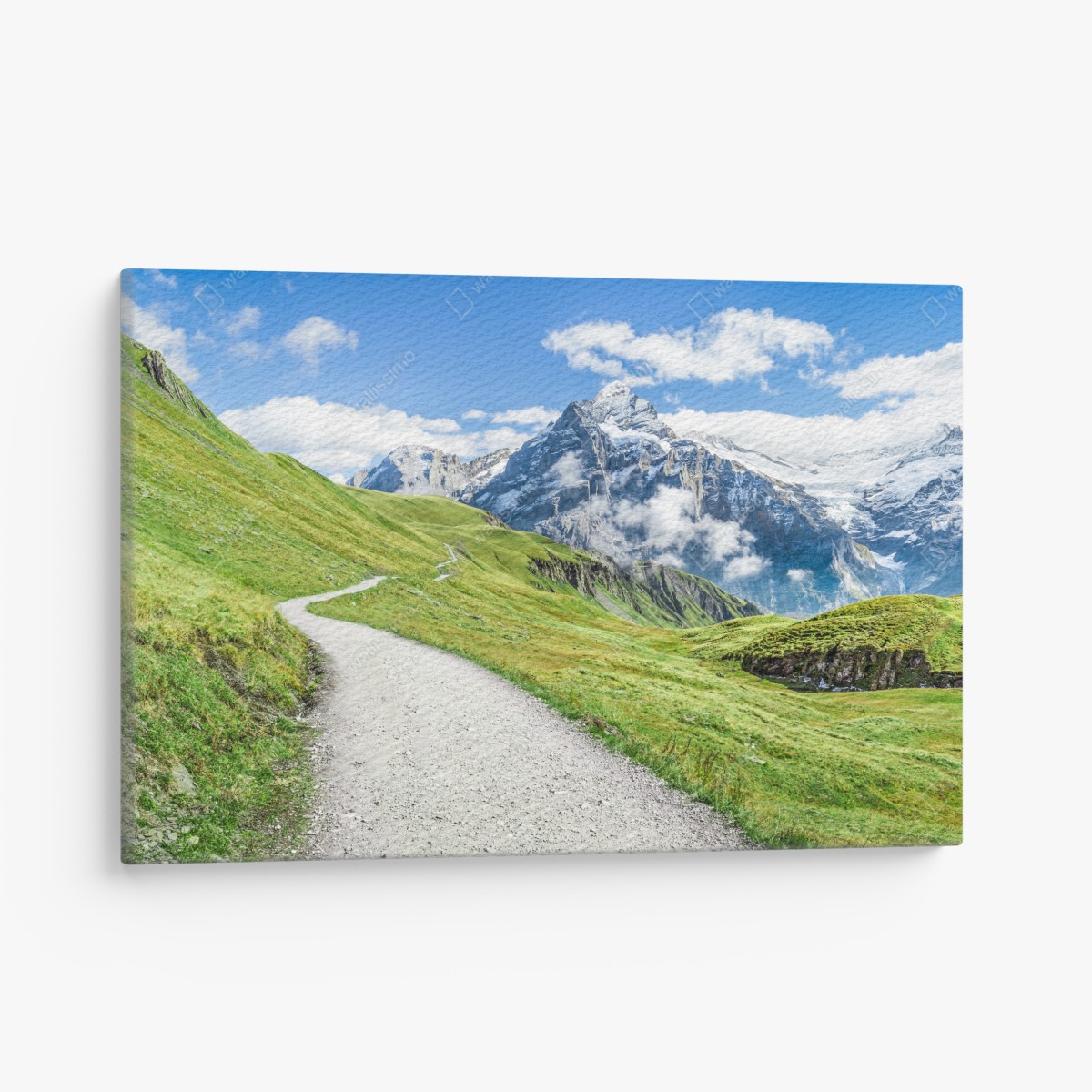 Canvas print alpine mountain trail panorama