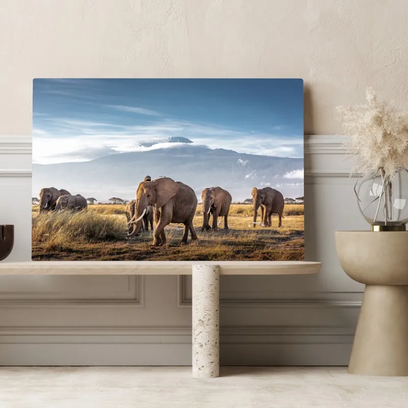 Obraz na płótnie stado słoni przed Kilimandżaro – Wallissimo® Obraz na płótnie stado słoni przed Kilimandżaro – Wallissimo®