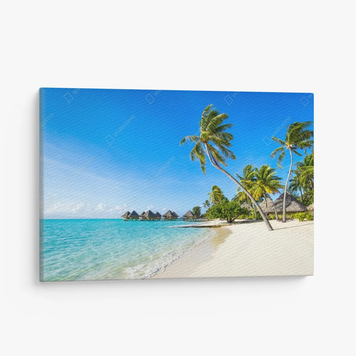 Obraz na płótnie tropikalna turkusowa plaża z palmami – Wallissimo® Obraz na płótnie tropikalna turkusowa plaża z palmami – Wallissimo®