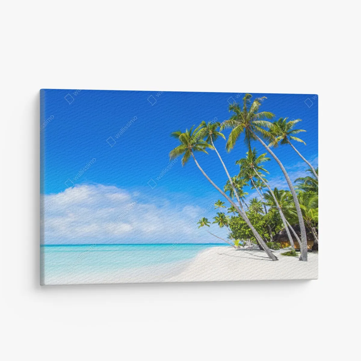 Obraz na płótnie tropikalna plaża z palmami – Wallissimo® Obraz na płótnie tropikalna plaża z palmami – Wallissimo®