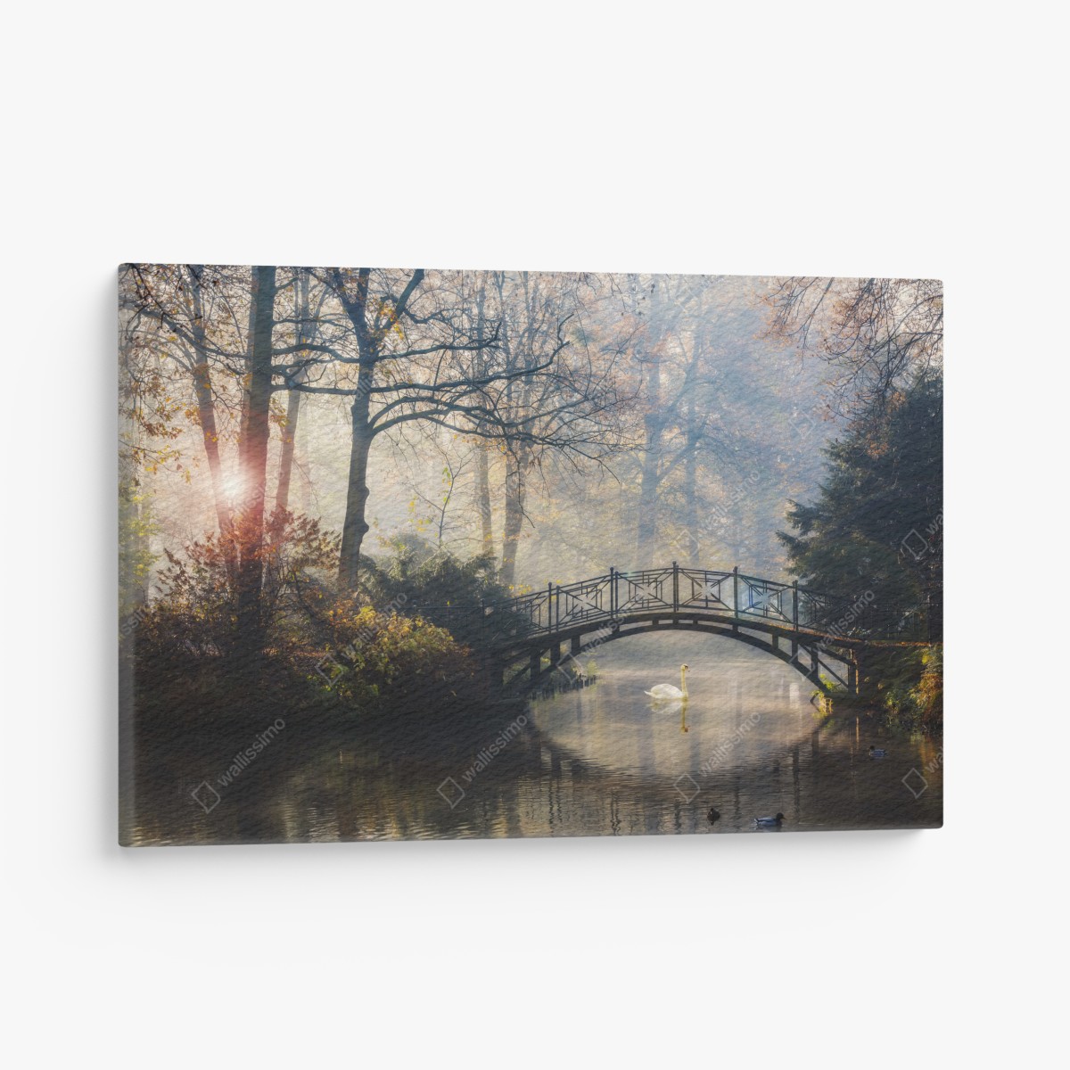 Canvas print misty autumn bridge with swan