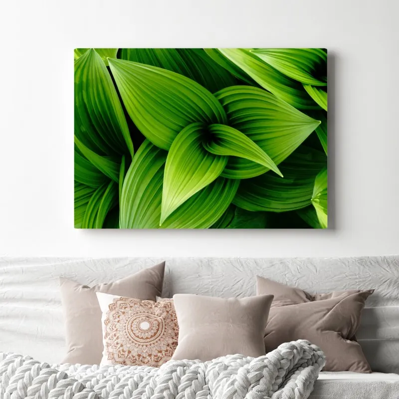 Obraz na płótnie gęste zielone liście – Wallissimo® Obraz na płótnie gęste zielone liście – Wallissimo®