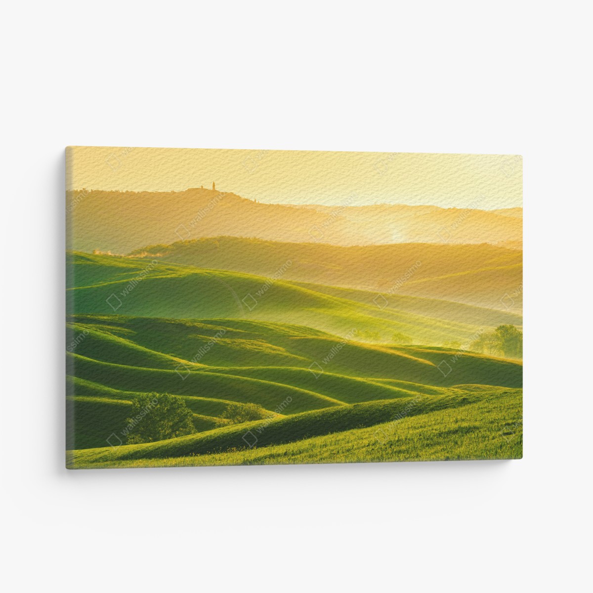 Canvas print golden sunrise over rolling green hills