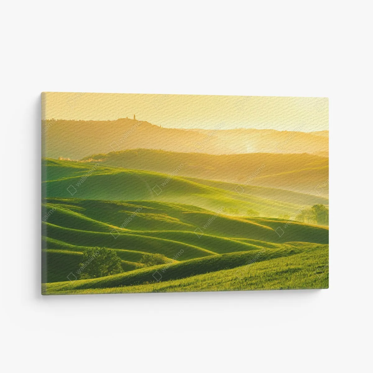 Obraz na płótnie złoty wschód słońca nad zielonymi falującymi wzgórzami – Wallissimo® Obraz na płótnie złoty wschód słońca nad zielonymi falującymi wzgórzami – Wallissimo®