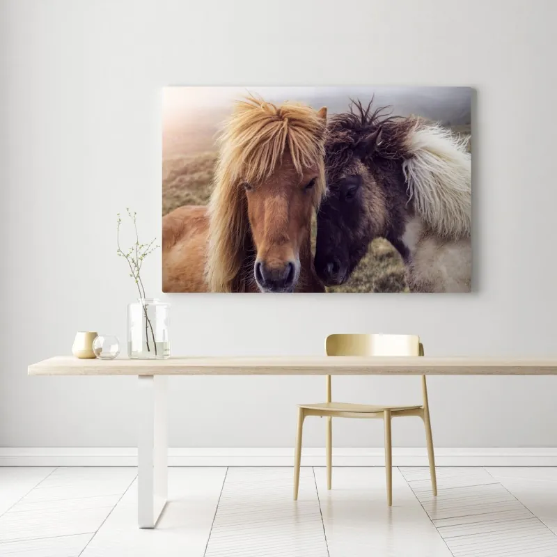 Obraz na płótnie dwa konie na mglistym wzgórzu, Wyspy Owcze – Wallissimo® Obraz na płótnie dwa konie na mglistym wzgórzu, Wyspy Owcze – Wallissimo®