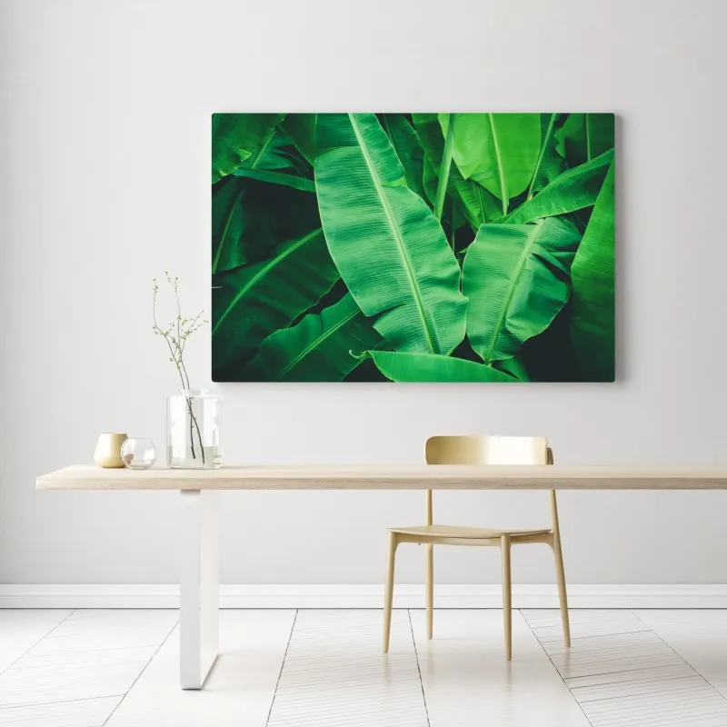 Obraz na płótnie tropikalne liście bananowca – Wallissimo® Obraz na płótnie tropikalne liście bananowca – Wallissimo®