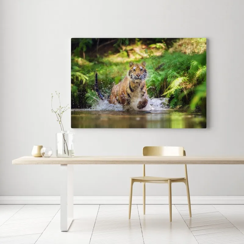 Obraz na płótnie majestatyczny tygrys w leśnym strumieniu – Wallissimo® Obraz na płótnie majestatyczny tygrys w leśnym strumieniu – Wallissimo®