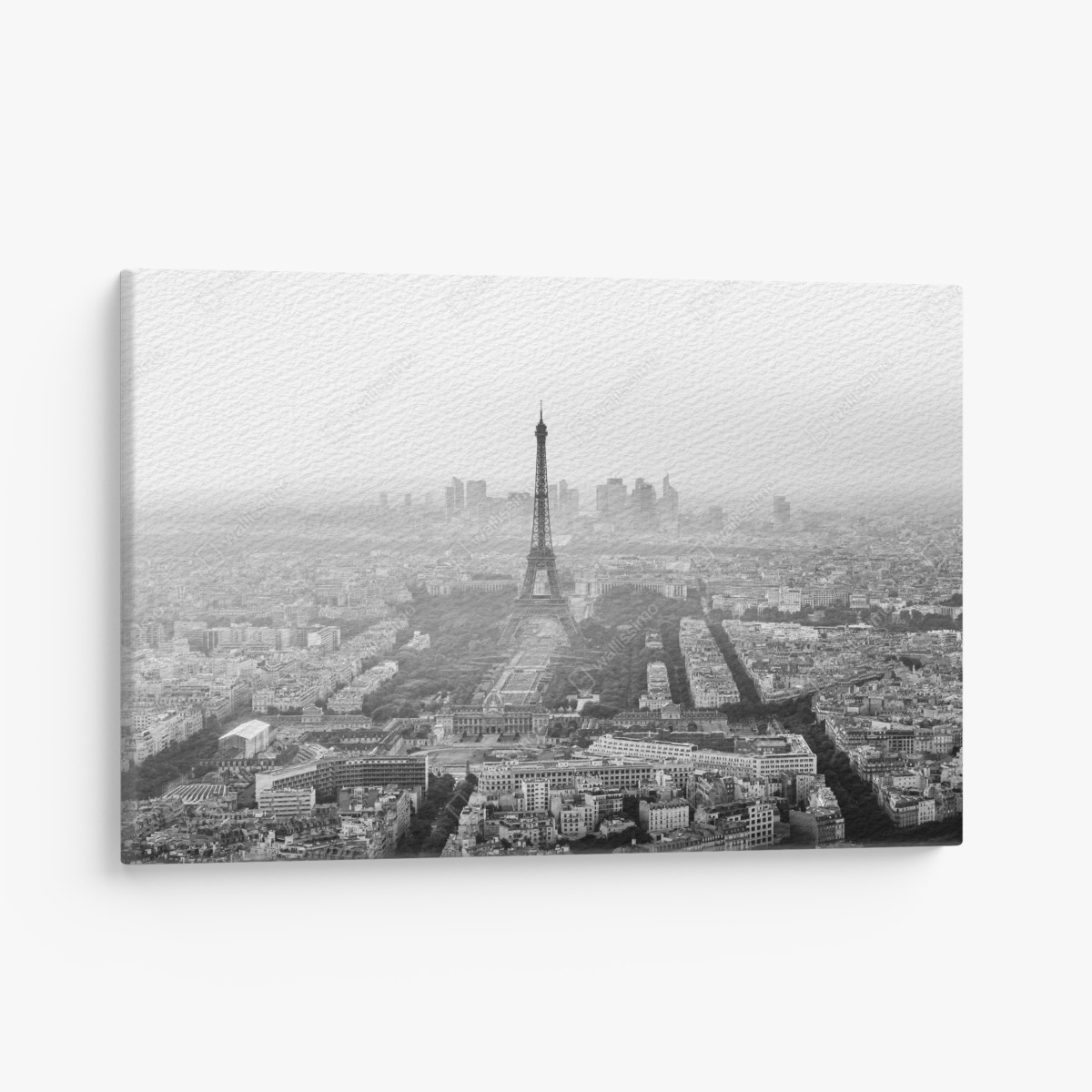 Canvas print elegant Eiffel Tower aerial skyline in grayscale
