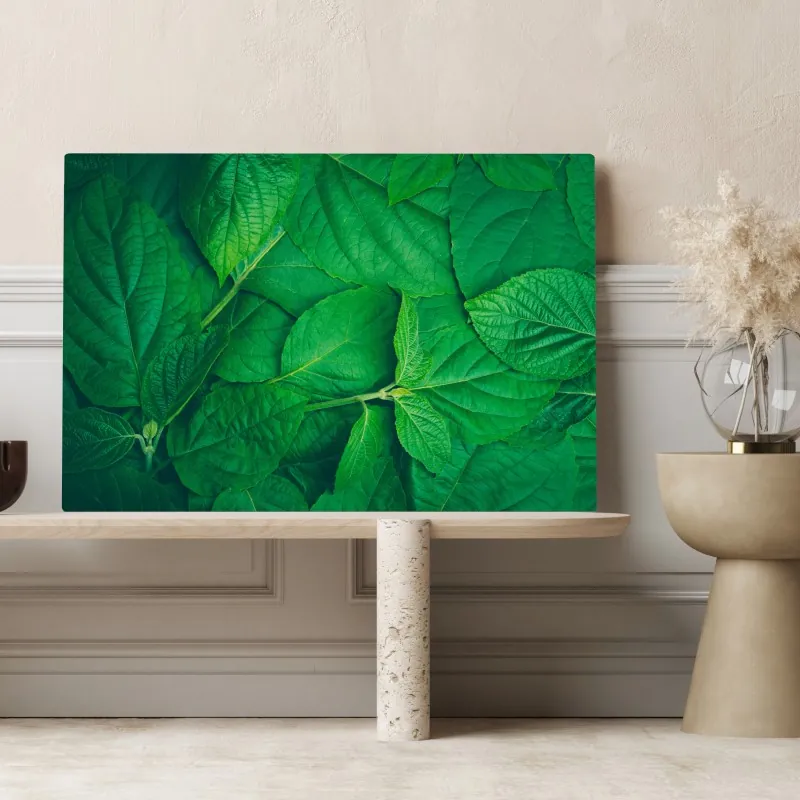 Obraz na płótnie soczyste zielone liście – Wallissimo® Obraz na płótnie soczyste zielone liście – Wallissimo®