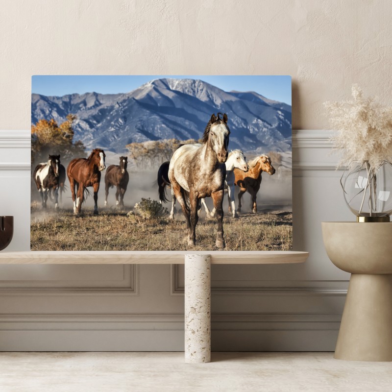 Obraz na płótnie dzikie konie galopujące po górskiej łące – Wallissimo® Obraz na płótnie dzikie konie galopujące po górskiej łące – Wallissimo®