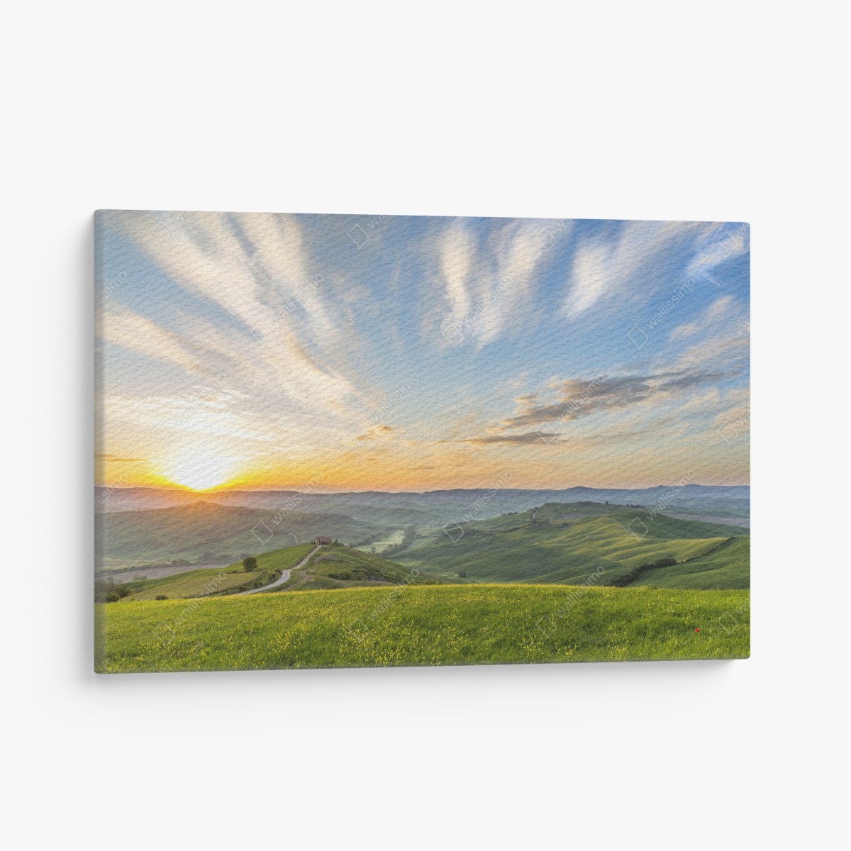Canvas print sunrise over an Italian meadow