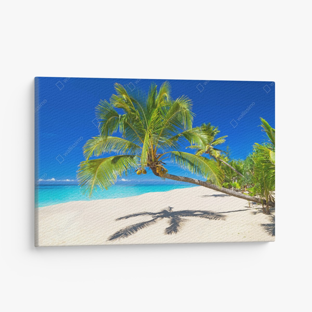 Canvas print Andaman Sea tropical beach with leaning palm