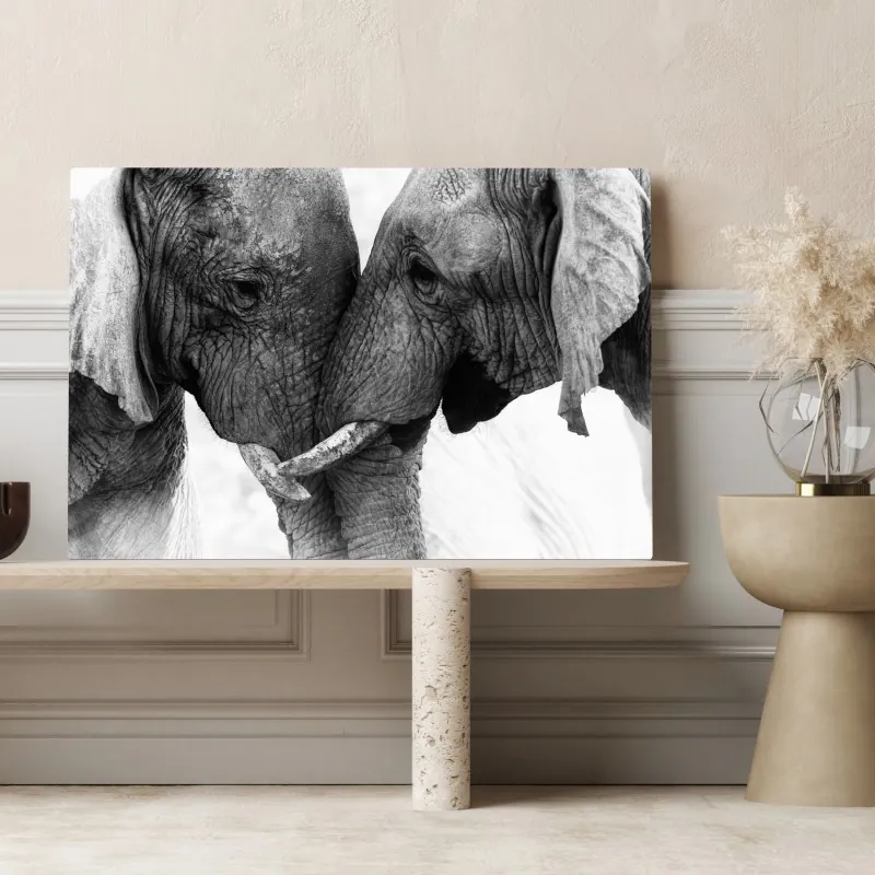 Obraz na płótnie uścisk słoni czarno-biały portret – Wallissimo® Obraz na płótnie uścisk słoni czarno-biały portret – Wallissimo®