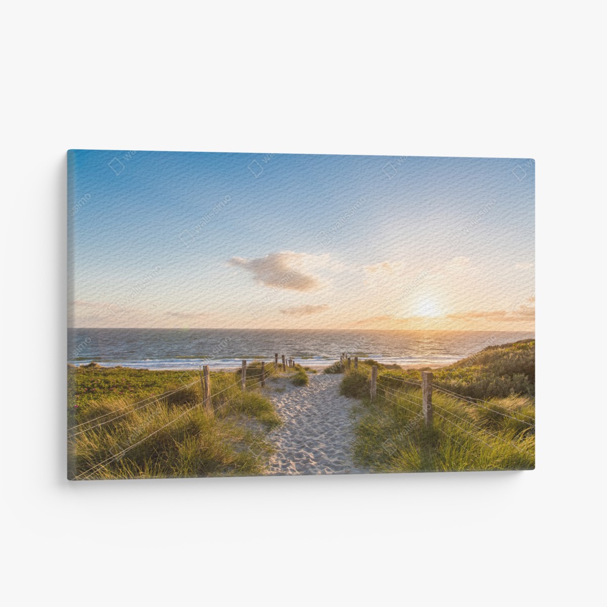 Canvas print sunlit beach path to the ocean