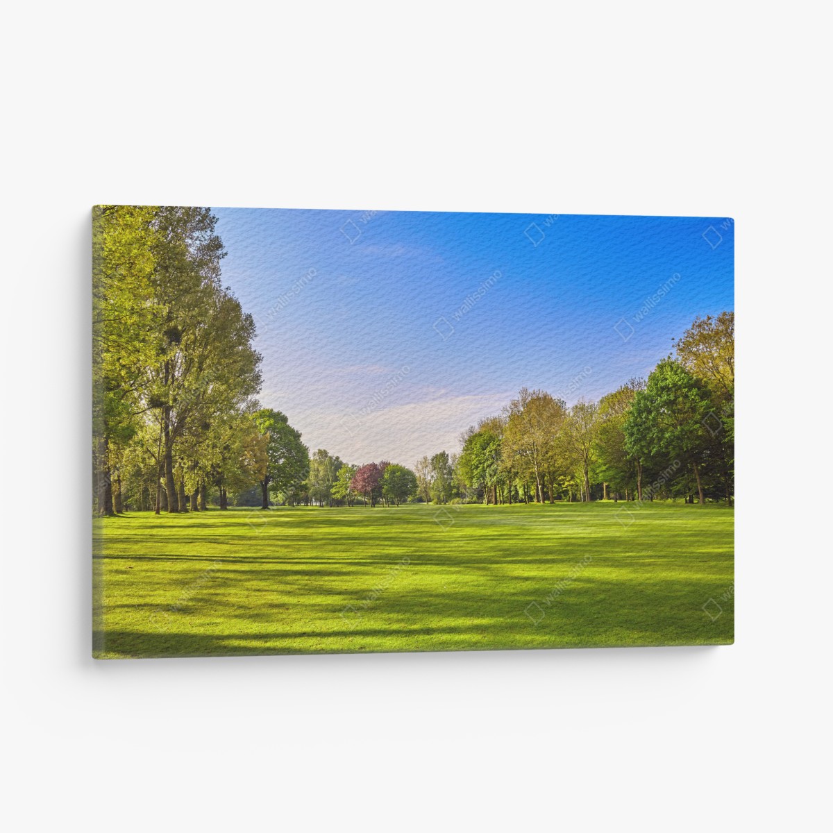 Canvas print sunlit city park panorama