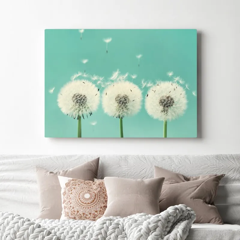 Obraz na płótnie trzy dmuchawce na turkusowym tle – Wallissimo® Obraz na płótnie trzy dmuchawce na turkusowym tle – Wallissimo®