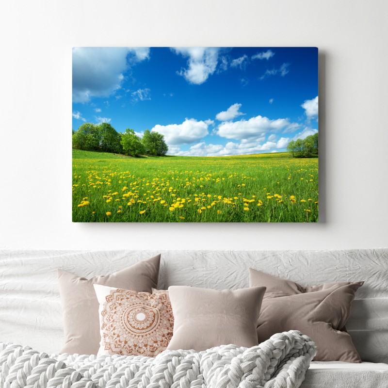 Obraz na płótnie słoneczna łąka z mniszkami i błękitnym niebem – Wallissimo® Obraz na płótnie słoneczna łąka z mniszkami i błękitnym niebem – Wallissimo®