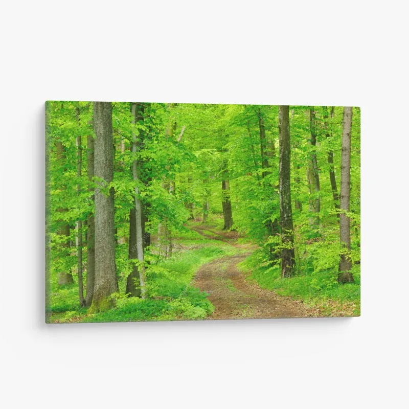 Obraz na płótnie Santorini widok na wybrzeże z białą architekturą – Wallissimo®