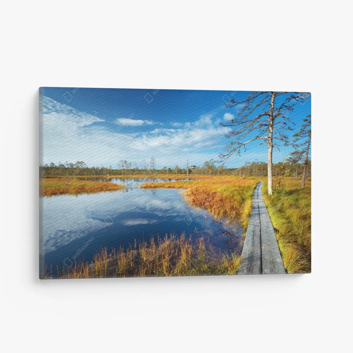 Obraz na płótnie jesienna kładka nad spokojnym torfowiskiem – Wallissimo® Obraz na płótnie jesienna kładka nad spokojnym torfowiskiem – Wallissimo®