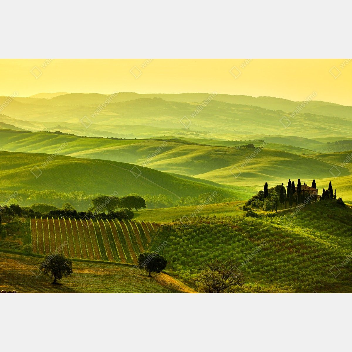 Obraz na płótnie Toskania zielone wzgórza – Wallissimo® Obraz na płótnie Toskania zielone wzgórza – Wallissimo®