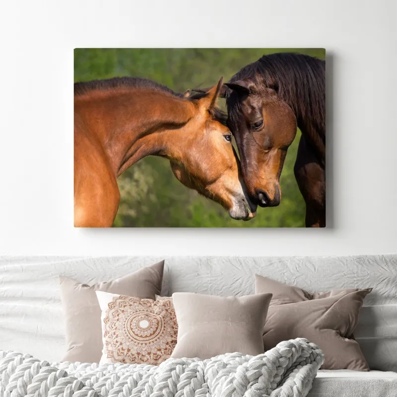 Obraz na płótnie delikatne objęcie koni – Wallissimo® Obraz na płótnie delikatne objęcie koni – Wallissimo®