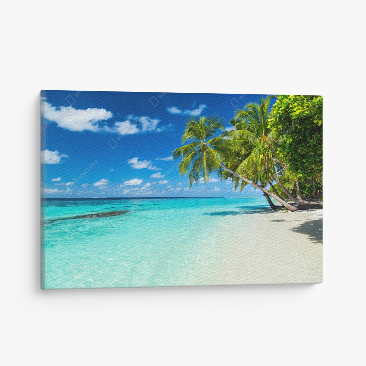 Canvas print tropical turquoise beach with leaning palms