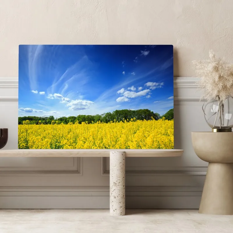 Obraz na płótnie Polskie pole rzepaku pod błękitnym niebem – Wallissimo® Obraz na płótnie Polskie pole rzepaku pod błękitnym niebem – Wallissimo®