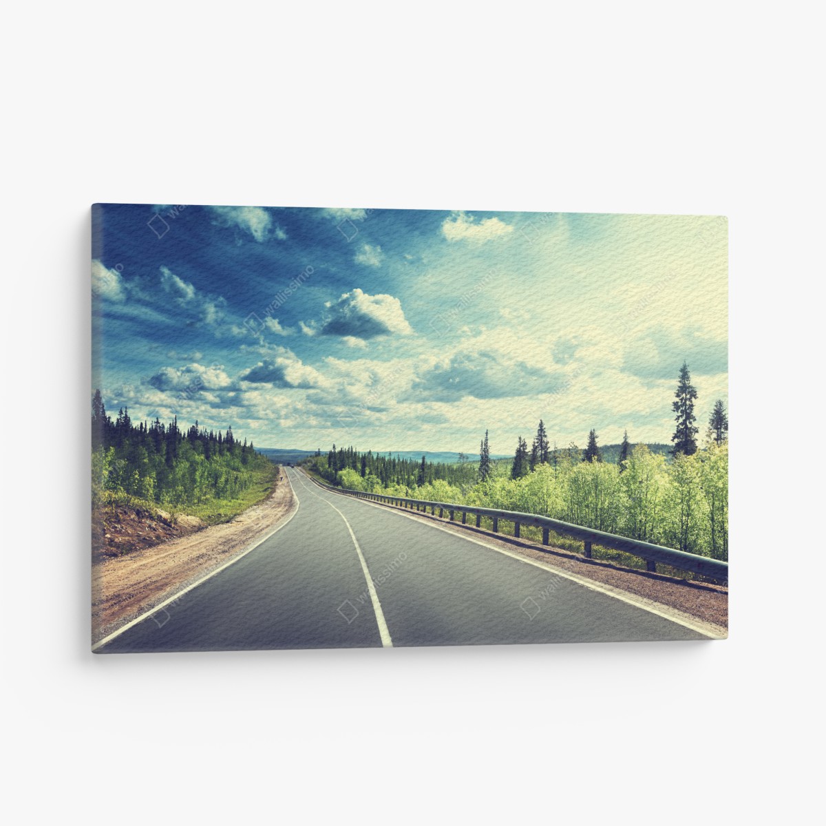 Canvas print sunlit forest road to the horizon
