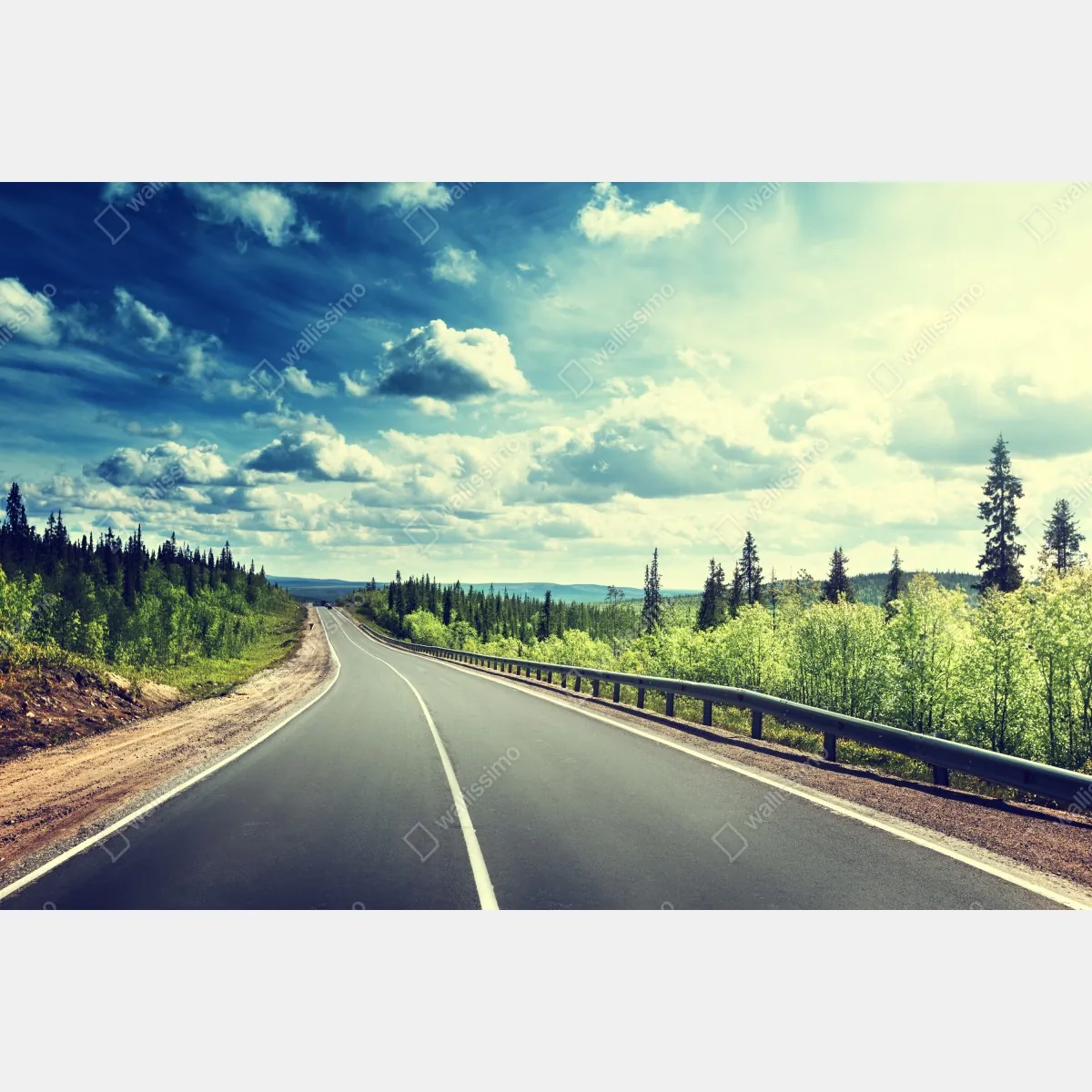 Obraz na płótnie słoneczna leśna droga ku horyzontowi – Wallissimo® Obraz na płótnie słoneczna leśna droga ku horyzontowi – Wallissimo®