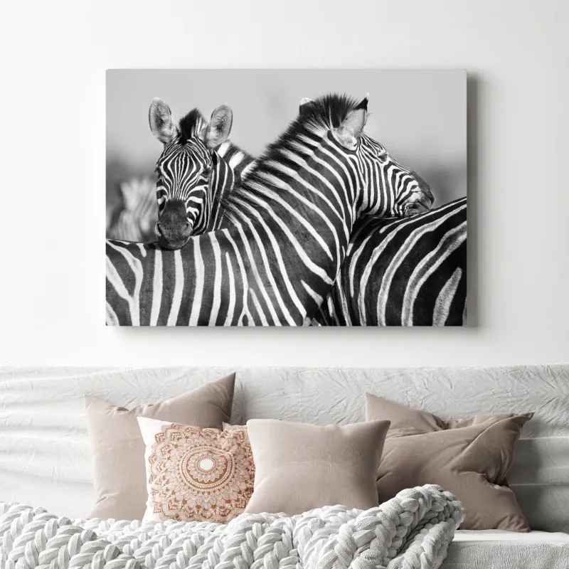 Obraz na płótnie zebry splecione w monochromie – Wallissimo® Obraz na płótnie zebry splecione w monochromie – Wallissimo®