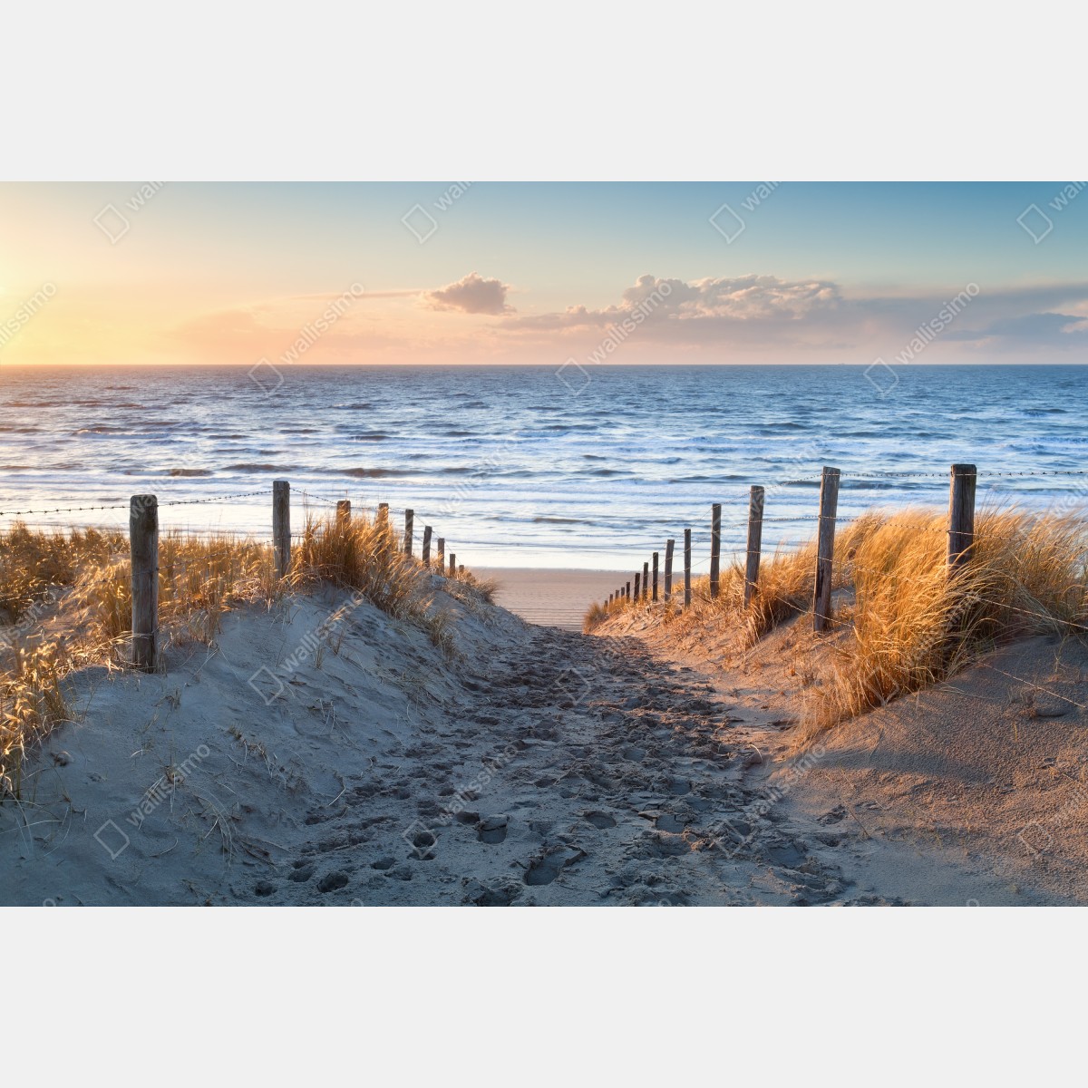 Obraz na płótnie ścieżka o zachodzie słońca nad Morzem Północnym, Holandia – Wallissimo® Obraz na płótnie ścieżka o zachodzie słońca nad Morzem Północnym, Holandia – Wallissimo®
