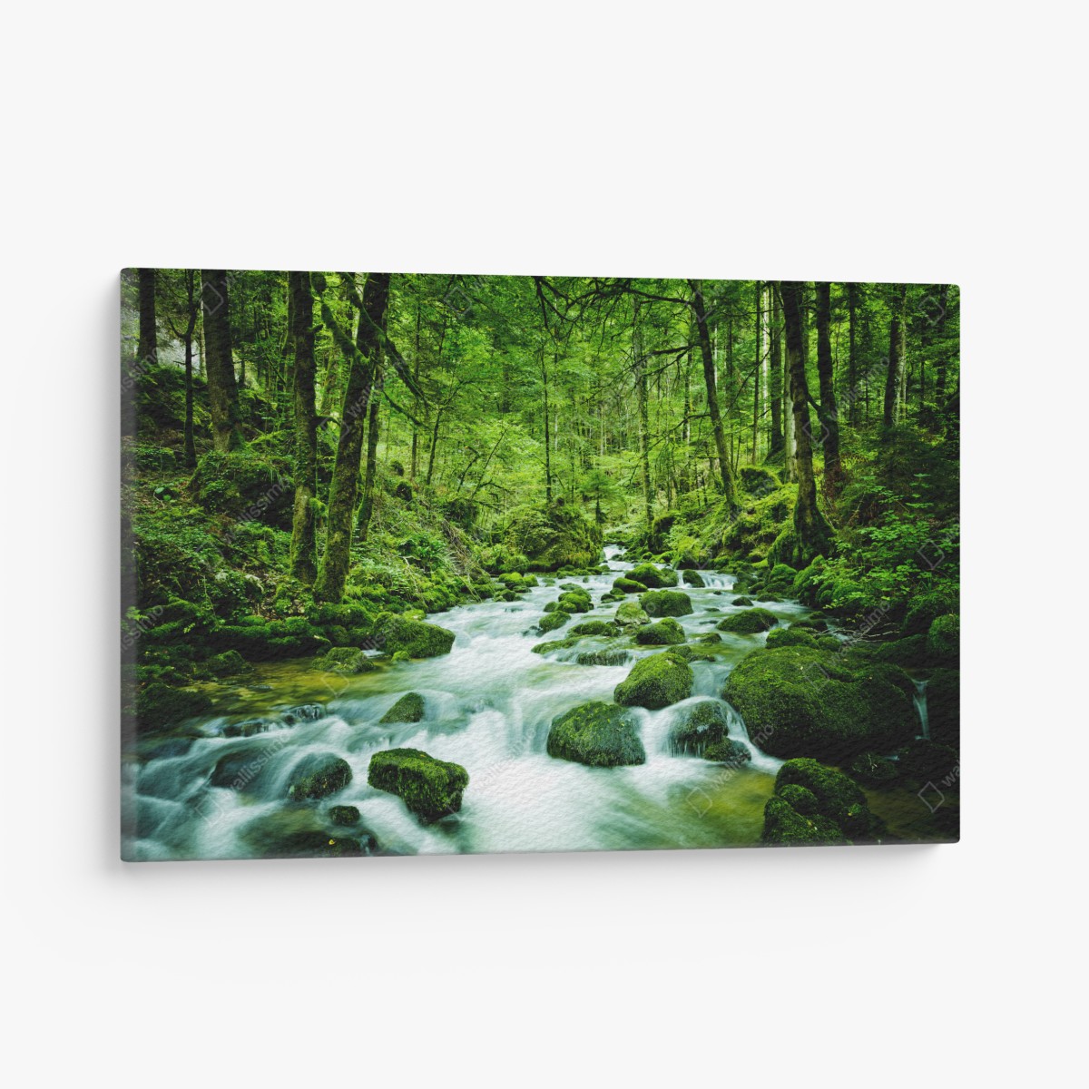 Canvas print mossy forest stream