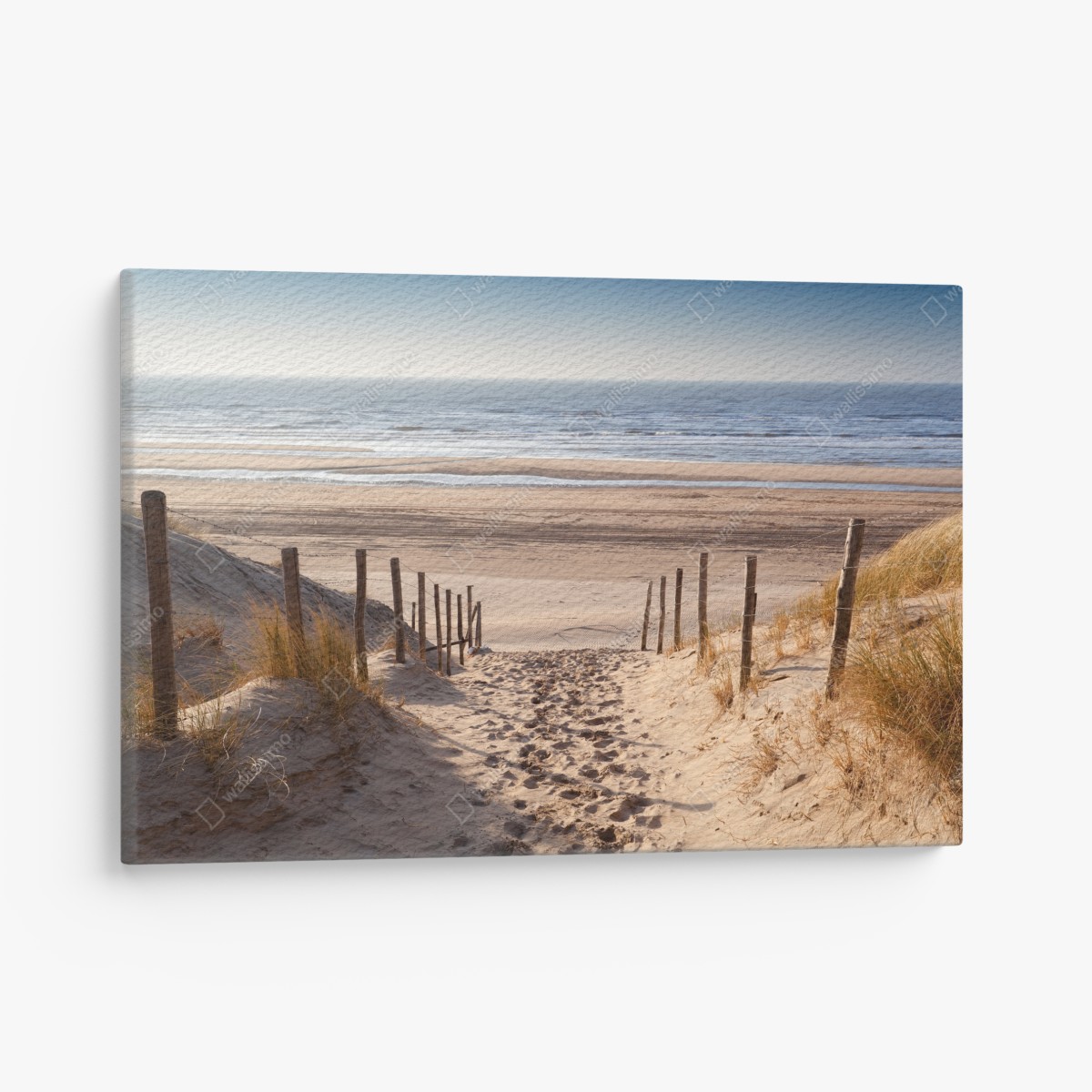 Canvas print sunlit path to the North Sea