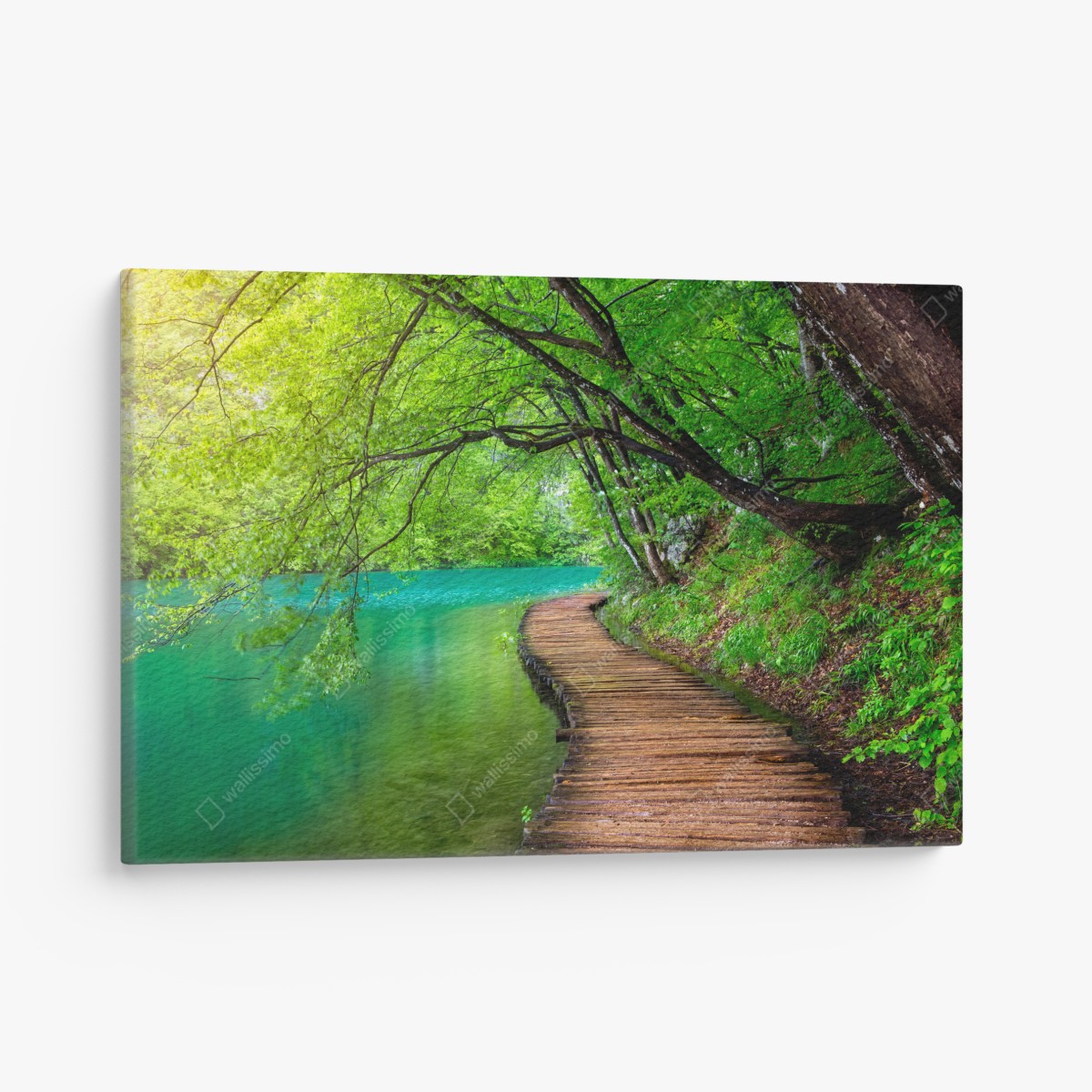 Canvas print serene lakeside wooden walkway through green forest