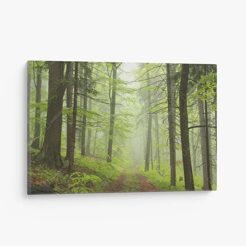 Obraz na płótnie retro tropikalne palmy o zachodzie słońca – Wallissimo®