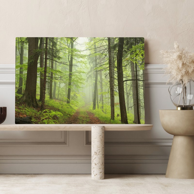 Obraz na płótnie mglisty zielony leśny szlak – Wallissimo® Obraz na płótnie mglisty zielony leśny szlak – Wallissimo®