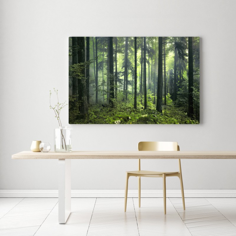 Obraz na płótnie tajemniczy zielony wiosenny las – Wallissimo® Obraz na płótnie tajemniczy zielony wiosenny las – Wallissimo®