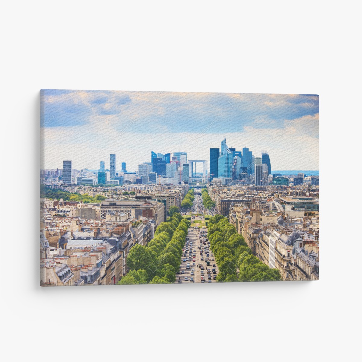 Canvas print Paris skyline over tree-lined avenue