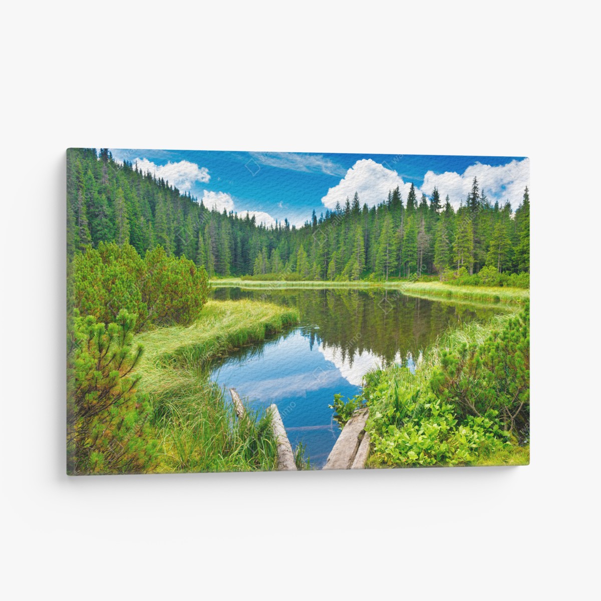 Canvas print tranquil forest lake with wooden bridge